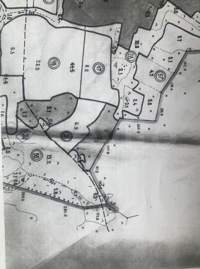 Участок 21,9 га (СНТ, ДНП)