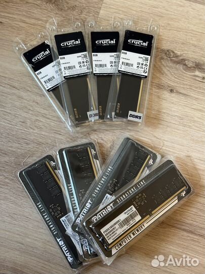 Память DDR5 8/16/32/64 Гб новая