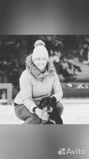 Дрессировка собак. Социализация