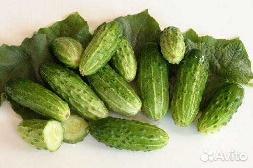 Огурец Кустовой (семена)