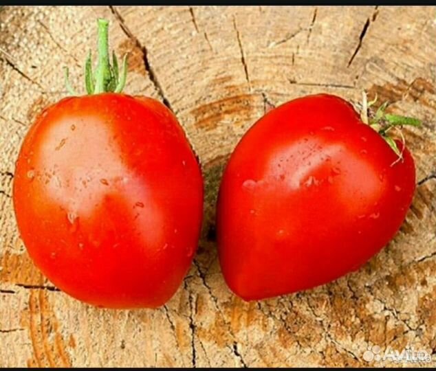 Семена засолочного томата Клубничное Дерево