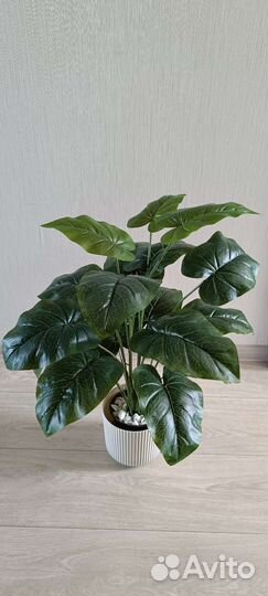 Искусственные деревья Пальма Фикусы