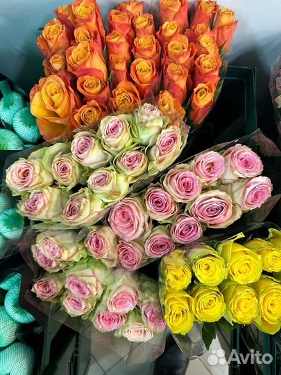 Красные розы