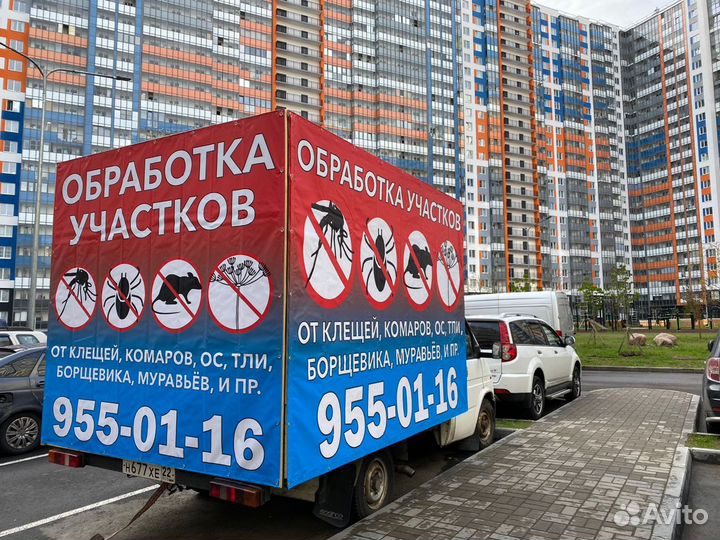 Реклама на газелях