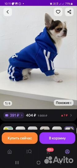 Одежда для собак мелких пород