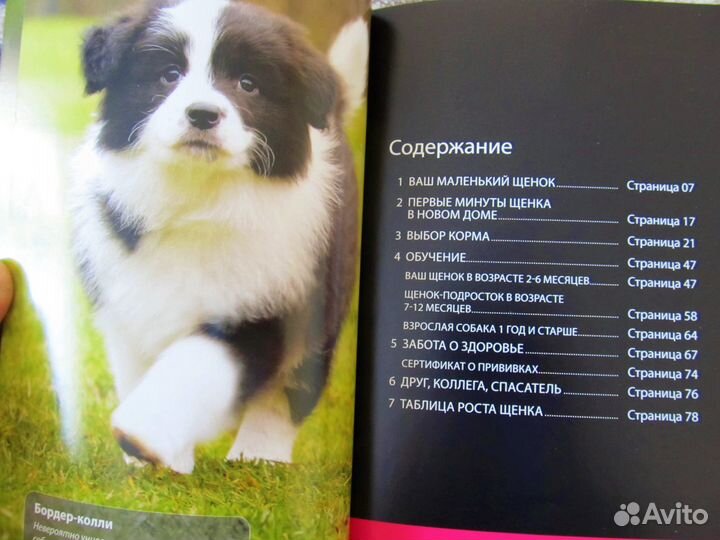 Книги по собаководству