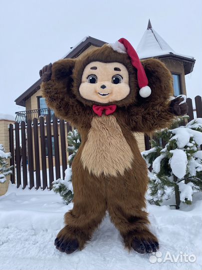 Ушастик на праздник индивидуалтная программа