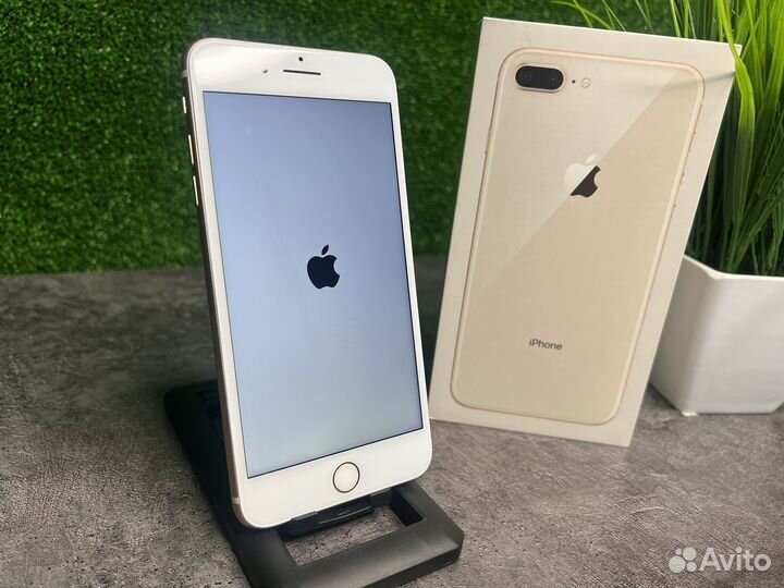 iPhone 8 Plus, 64 ГБ