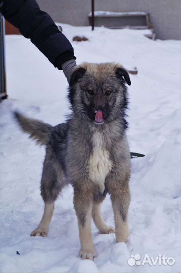 Красивая девчонка в самые добрые руки