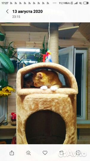 Домик и когтеточка