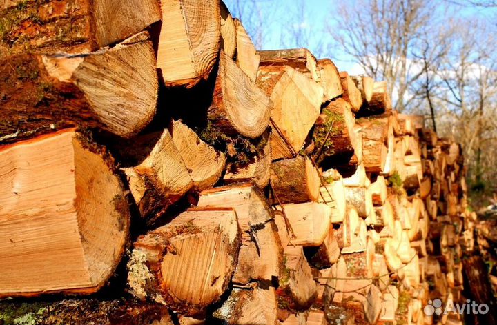 Дрова подсушенные