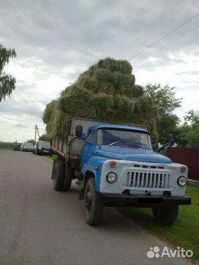 Сено в рулонах