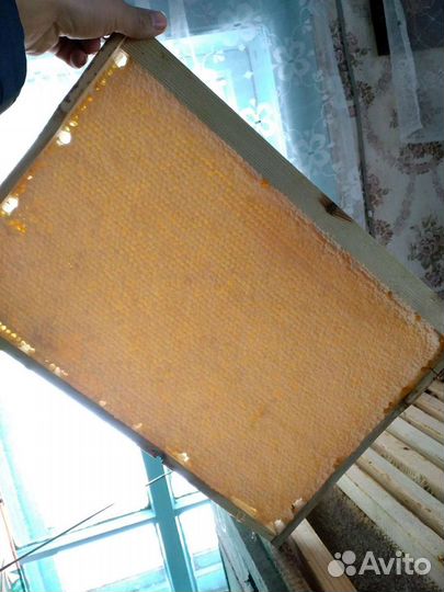 Мёд цветок с. И документами