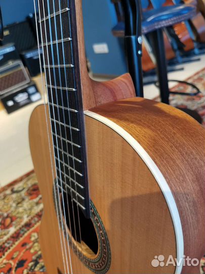Классическая гитара Perez массив