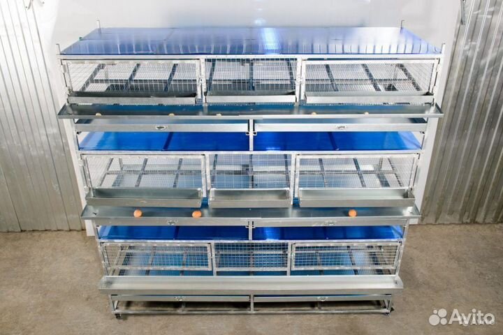 Клетки для перепелок от производителя