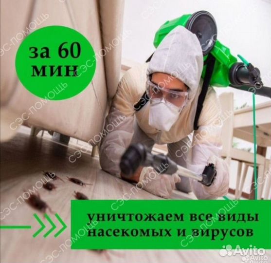 Уничтожение тараканов клопов короедов мышей запаха