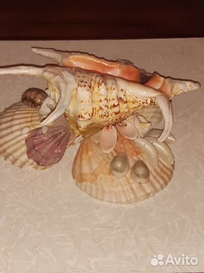 Сувениры из ракушек