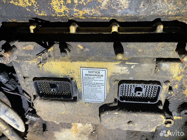 Мозги кат 12 на Фредлайнер