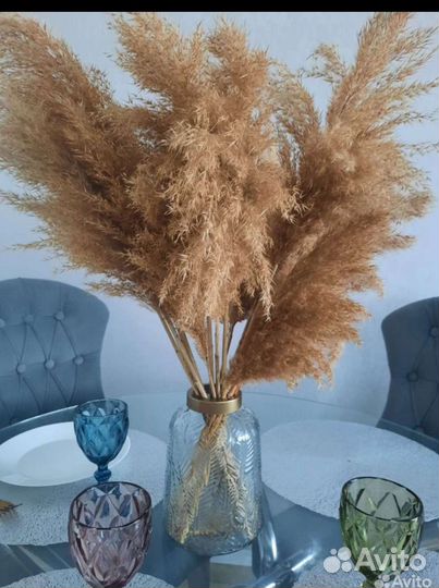 Сухоцветы для декора камыш тростник