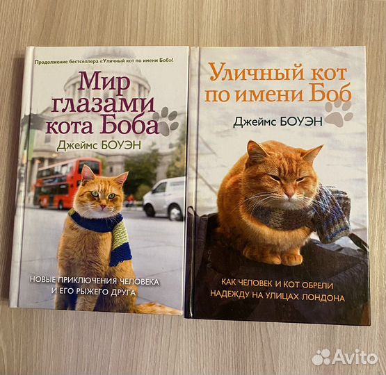 Книги про кота Боба. Джеймса Боуэна