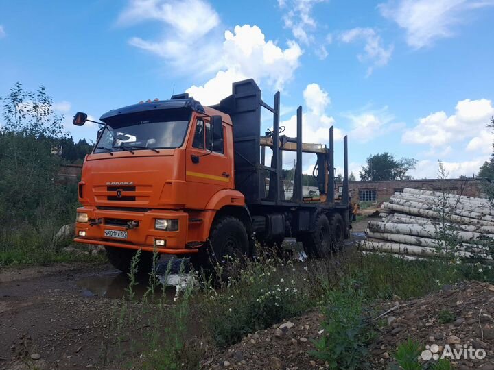 КамАЗ 43118 с КМУ, 2012