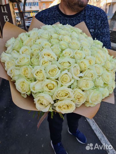 101 высокая белая роза импорт премиум