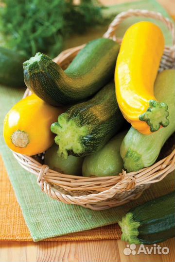 Молодые кабачки