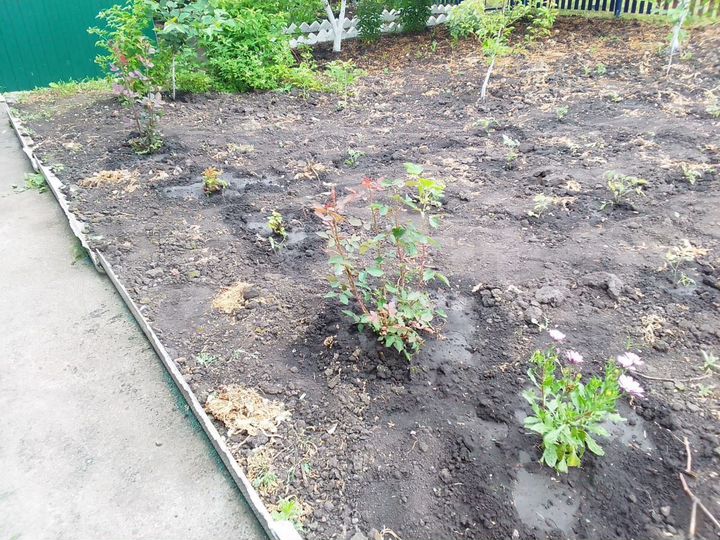 Дом 32 м² на участке 10 сот.