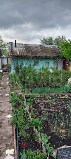 Дача 58 м² на участке 6 сот.