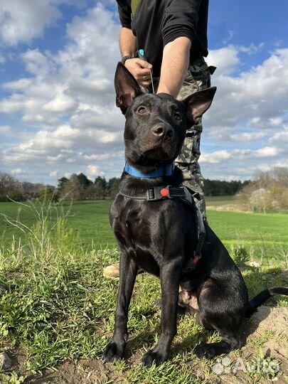 Сигурда выгоняют на улицу