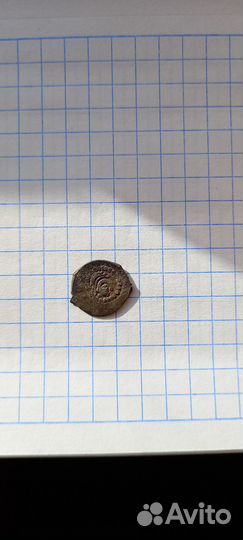 Удельная чешуя