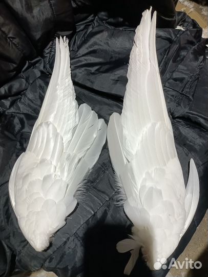 Крыло гусиное белое