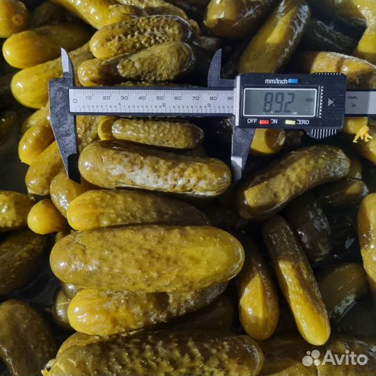 Огурчики бочковые