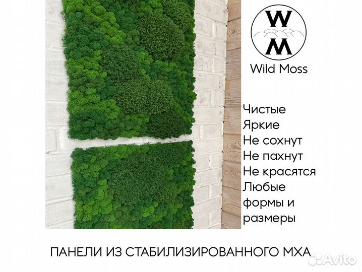 Панели из стабилизированного мха