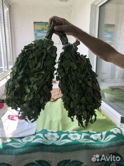 Березовые веники