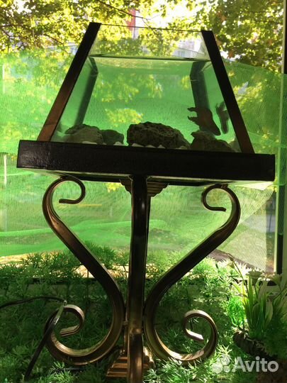 Аквариум-Лампа съемный