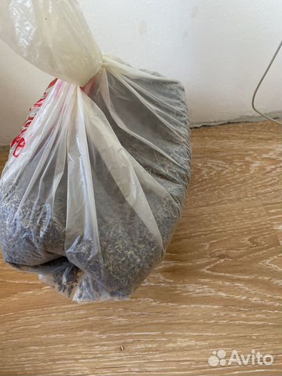 Лаванда россыпью