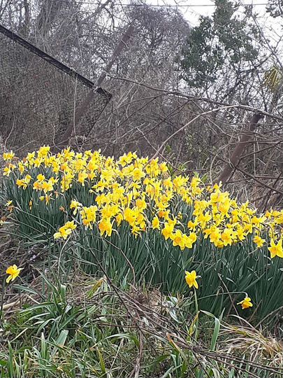 Дача 64 м² на участке 6,3 сот.