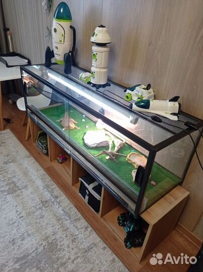 Террариум для рептилий