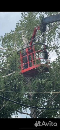 Аренда и услуги телескопической автовышки-вездехода, 600 кг, 19 м