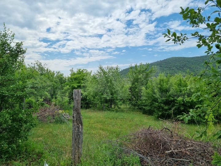 Участок 19,2 сот. (ИЖС)