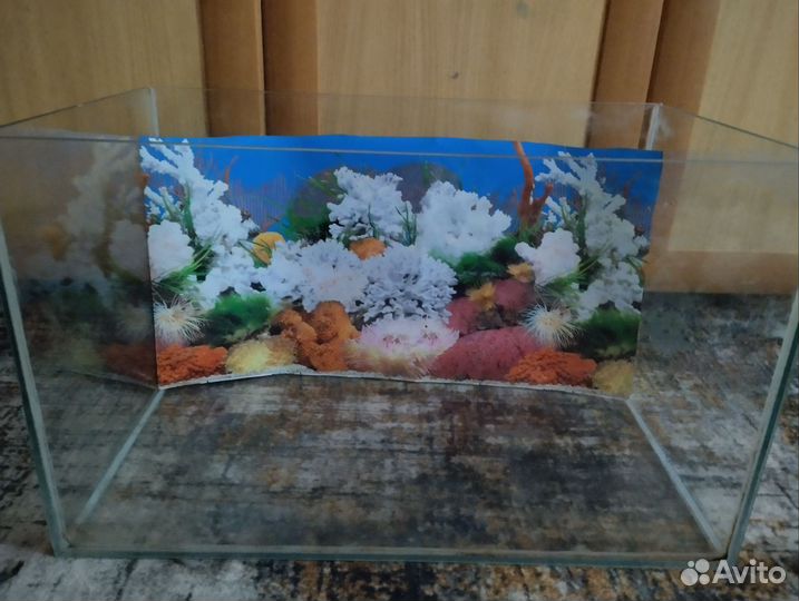 Аквариум на 50 литров