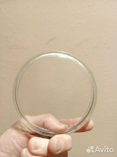 Чашка Петри