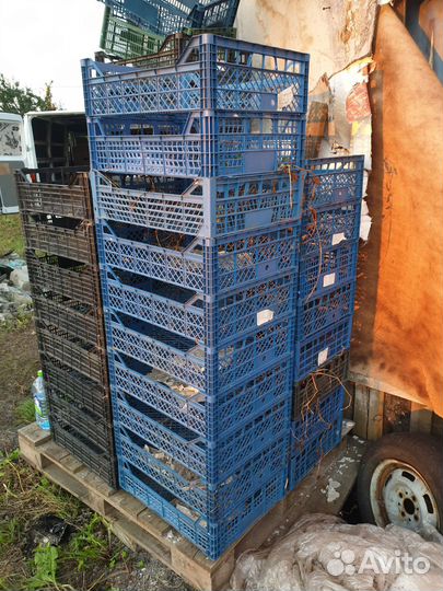 Ящик для овощей