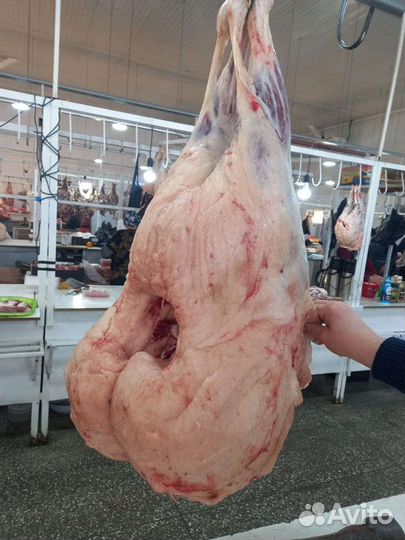 Курдюк сырой