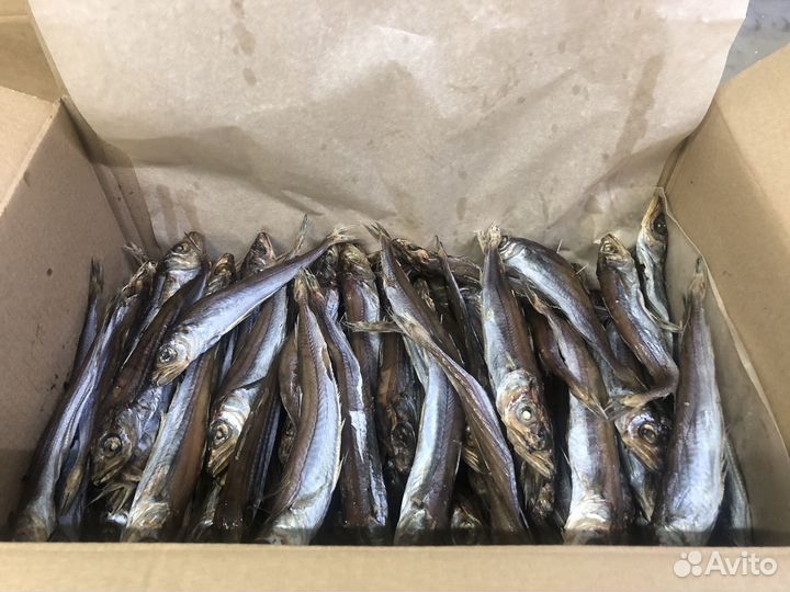 Путассу вяленая оптом