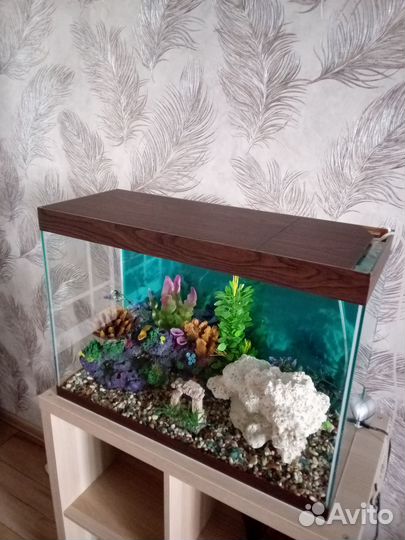 Аквариум 100 литров
