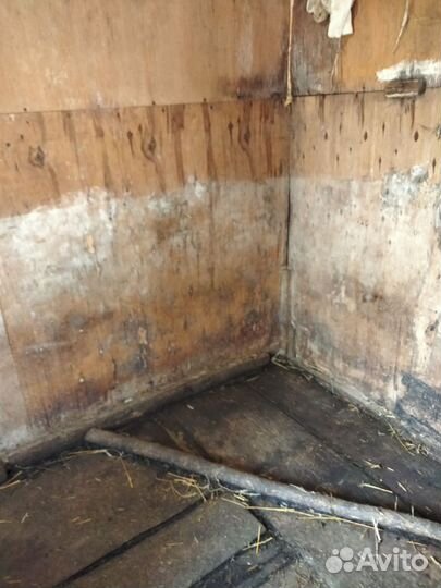 Сарай для с/х животных