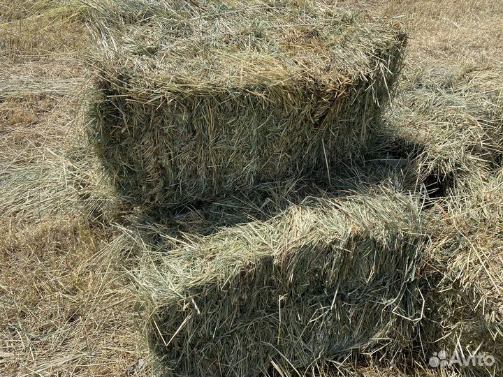Сено луговое в тюках