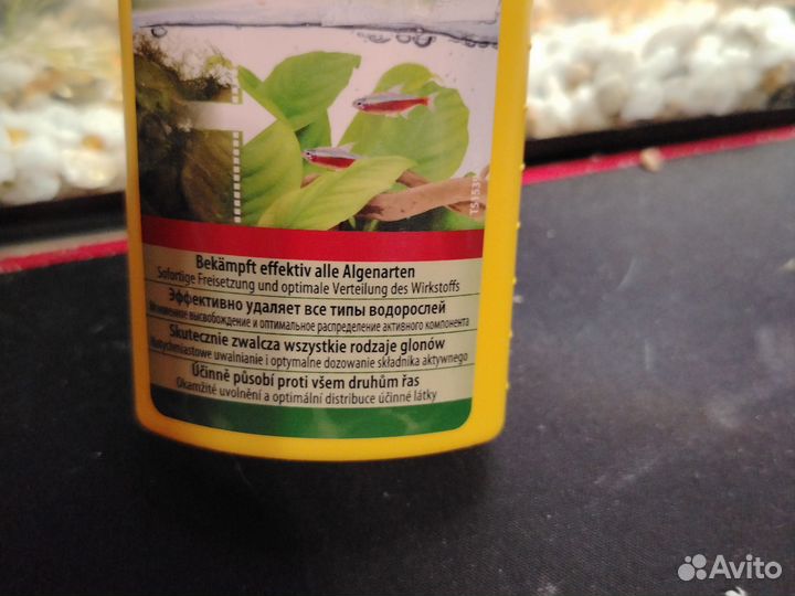 Альгумин плюс